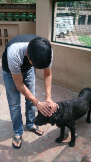 Our Animal Friend-Timber with Hitesh