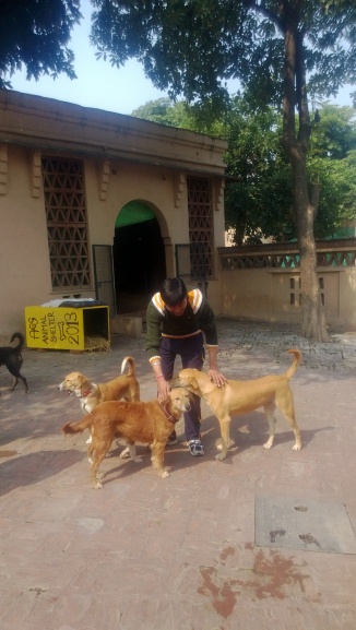 Hitesh with Friends from the Animal Shelter